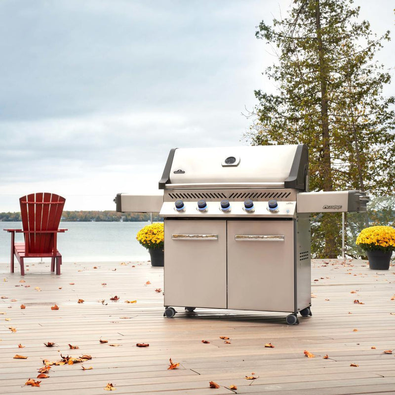 Napoleon Grills Gas Grills P665NSS IMAGE 4